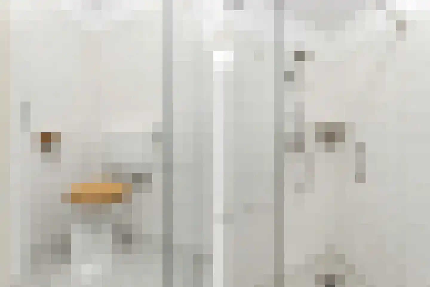 Skoonzicht 3 Oostzaan thumbnail 29