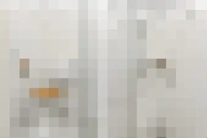 Skoonzicht 3 Oostzaan thumbnail 29