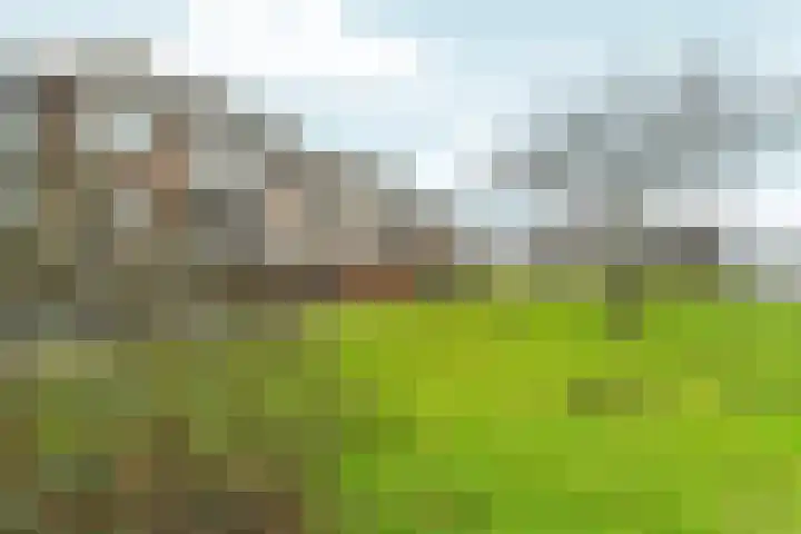 Skoonzicht 3 Oostzaan thumbnail 30