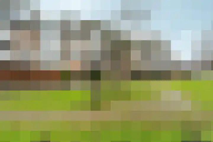 Skoonzicht 3 Oostzaan thumbnail 31