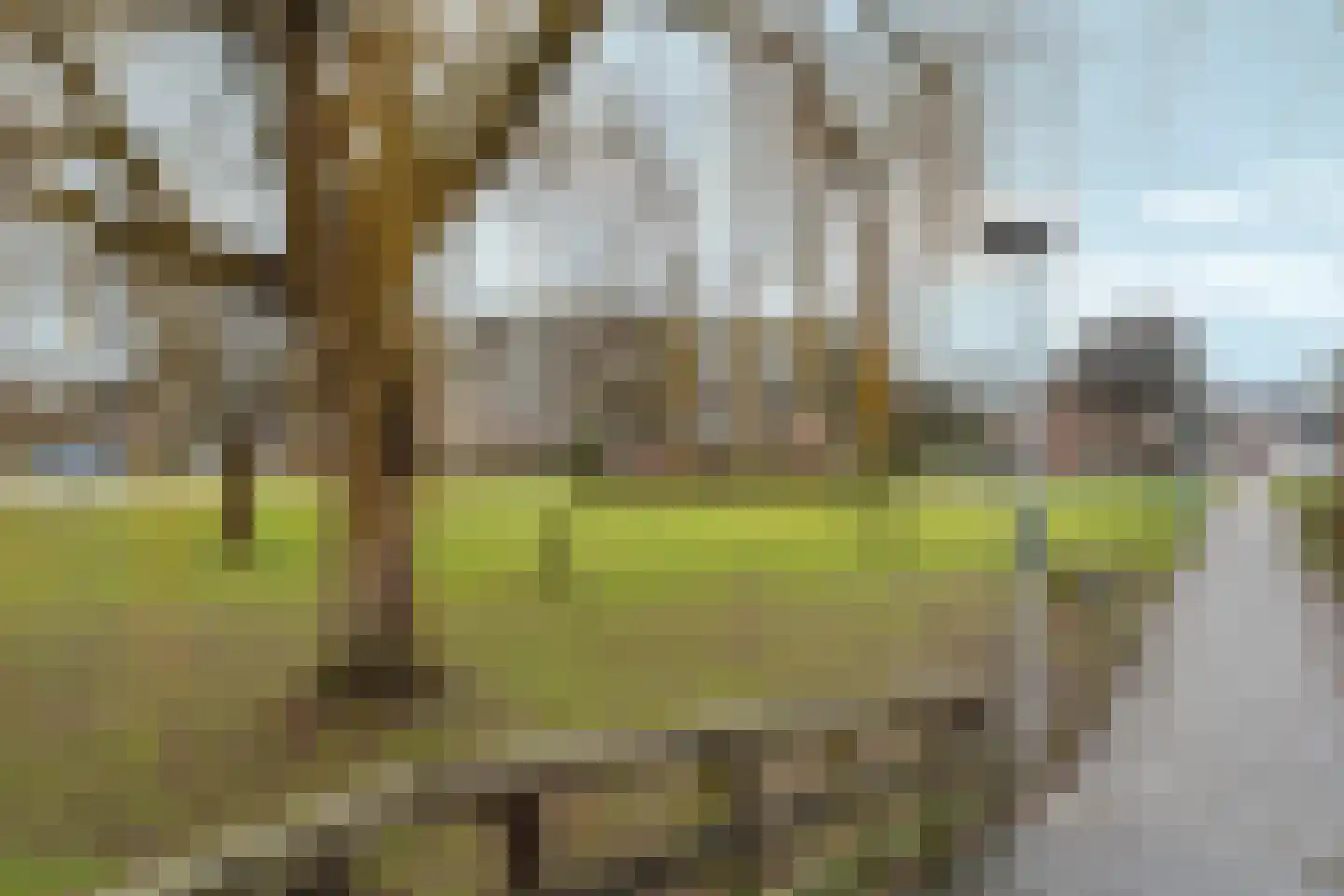 Skoonzicht 3 Oostzaan thumbnail 32