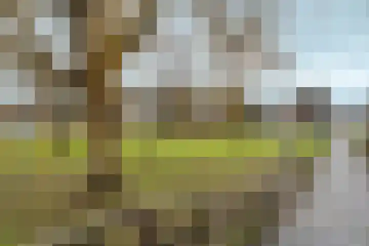 Skoonzicht 3 Oostzaan thumbnail 32