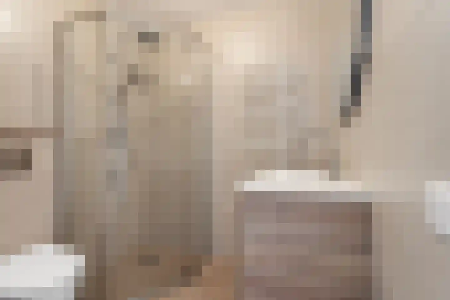 Skoonzicht 3 Oostzaan thumbnail 34
