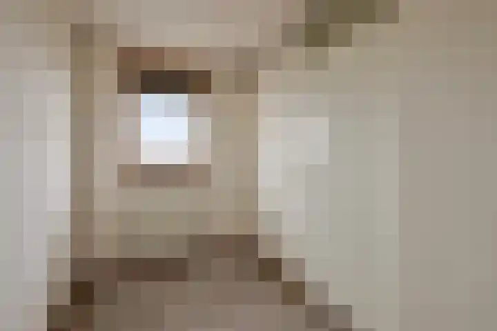 Skoonzicht 302 Oostzaan thumbnail 18