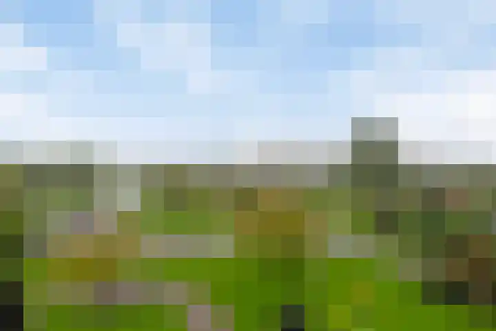 Skoonzicht 302 Oostzaan thumbnail 30