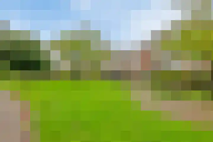 Skoonzicht 302 Oostzaan thumbnail 33