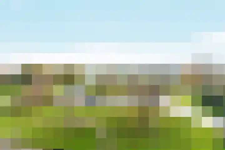 Skoonzicht 304 Oostzaan thumbnail 39