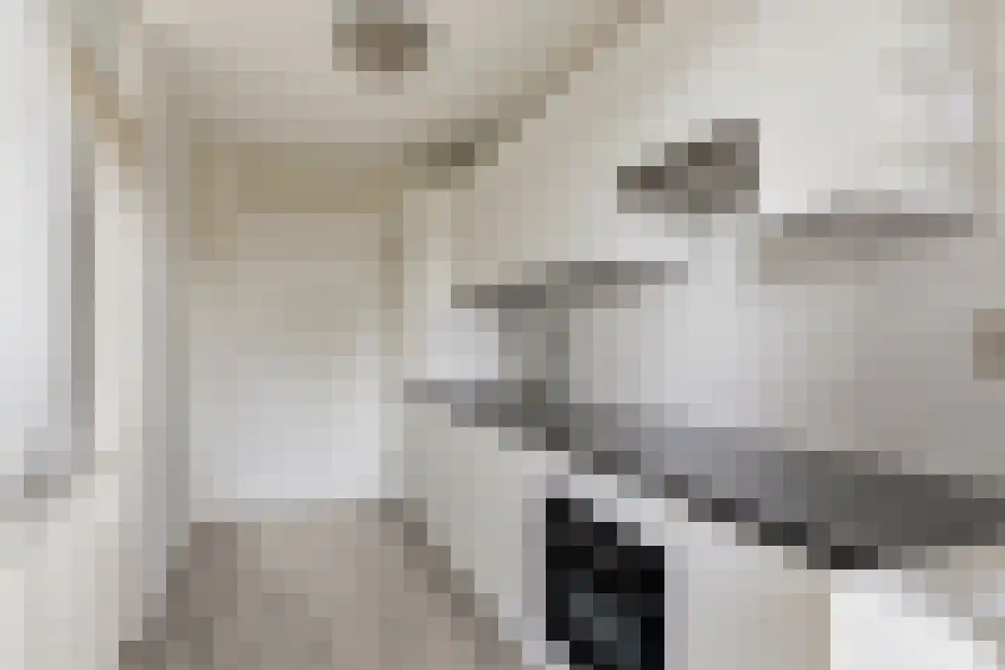Skoonzicht 4 Oostzaan thumbnail 23