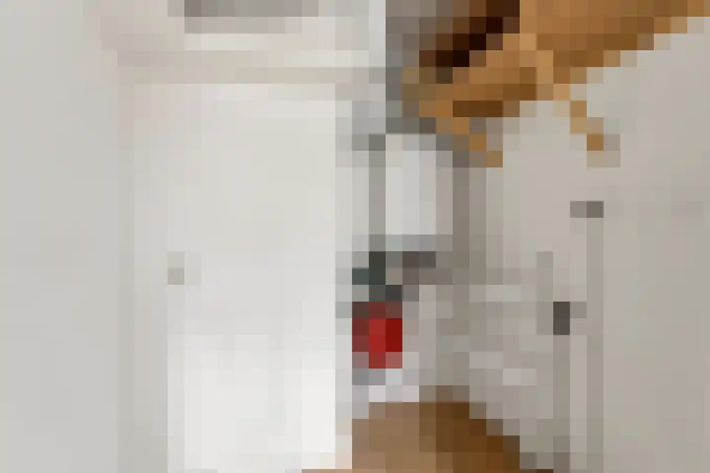 Skoonzicht 4 Oostzaan thumbnail 24