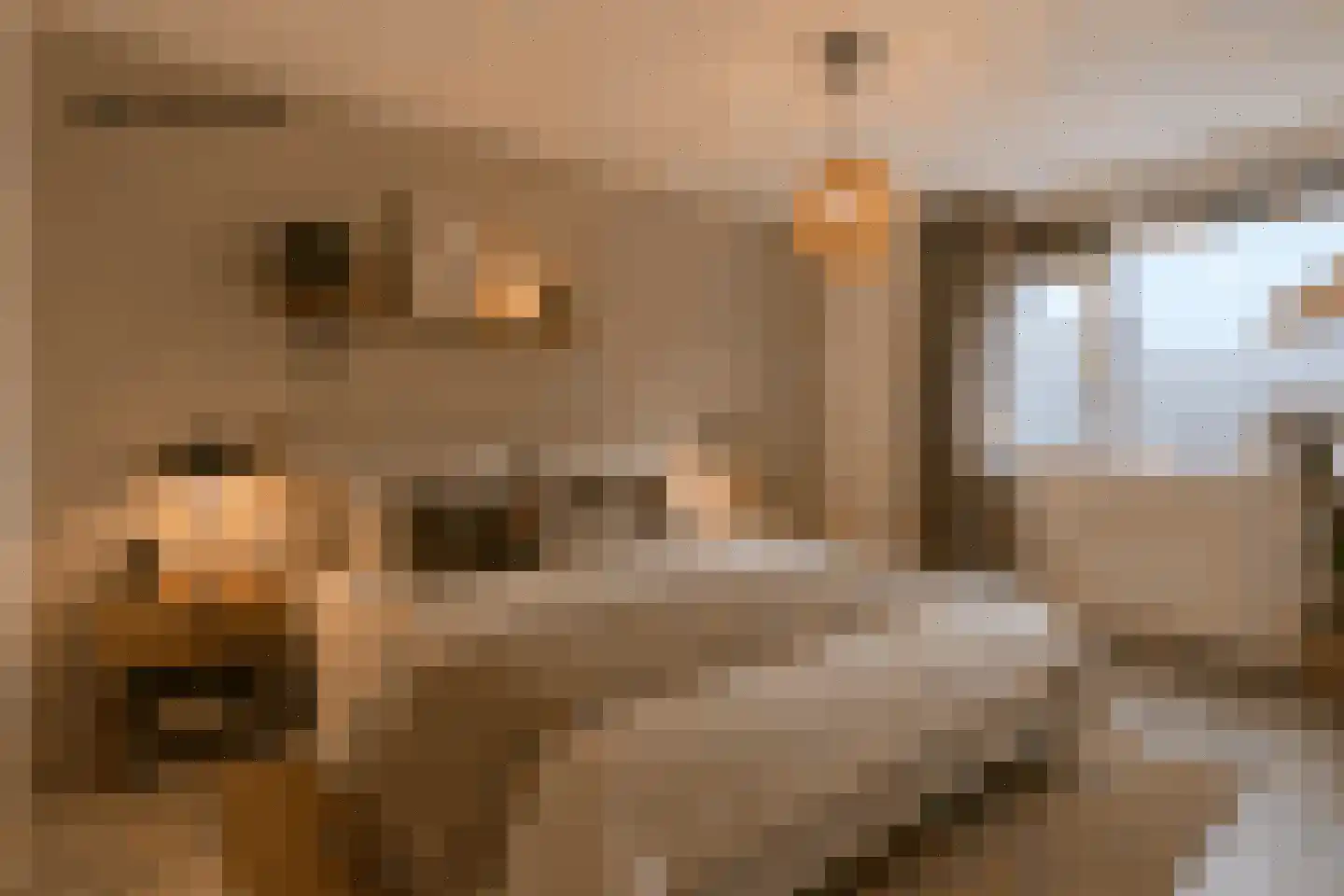 Skoonzicht 4 Oostzaan thumbnail 25