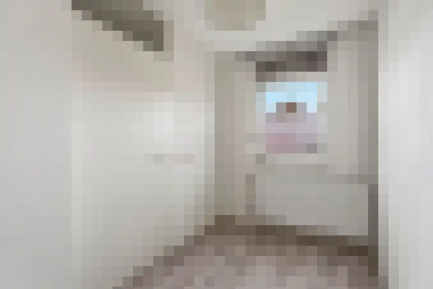 Skoonzicht 4 Oostzaan thumbnail 29