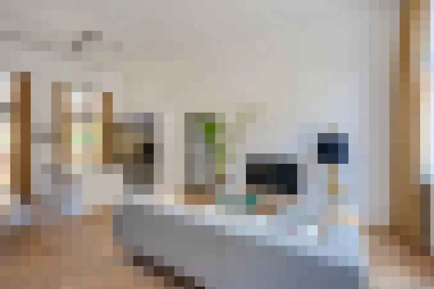 Skopjestraat 6 Utrecht thumbnail 13