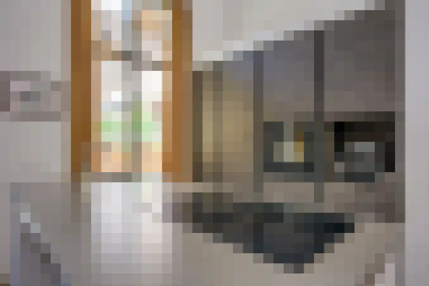 Skopjestraat 6 Utrecht thumbnail 20