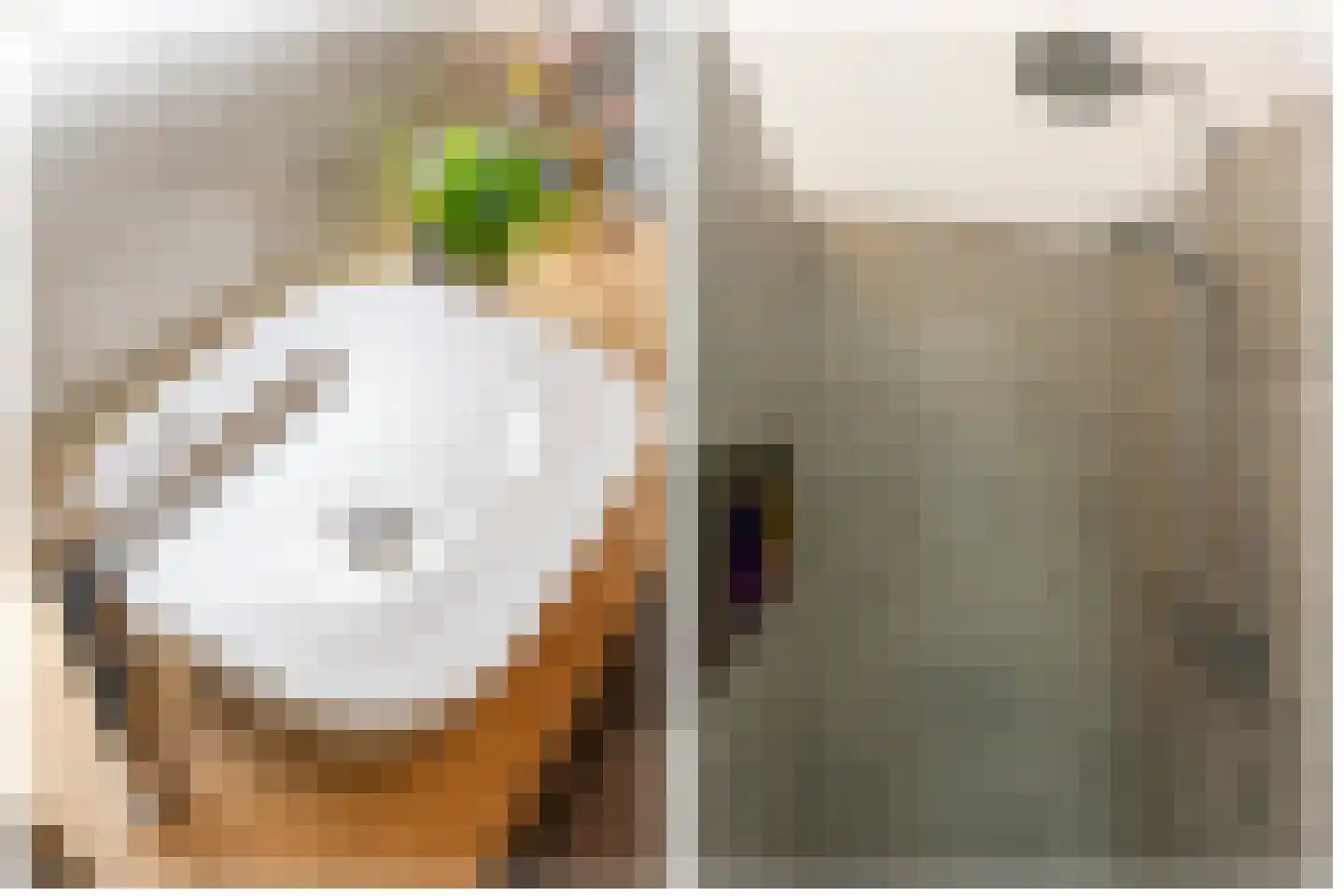 Skopjestraat 6 Utrecht thumbnail 33