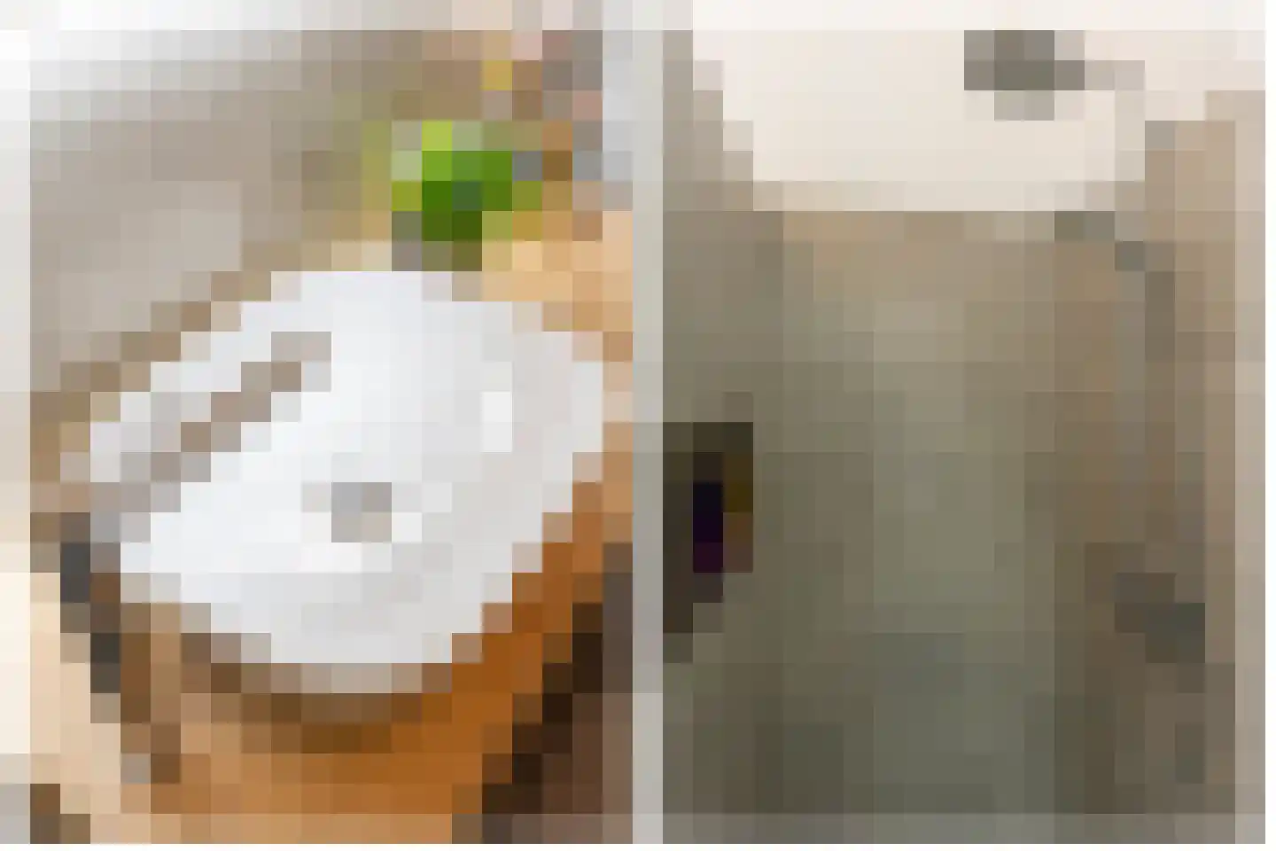 Skopjestraat 6 Utrecht thumbnail 34