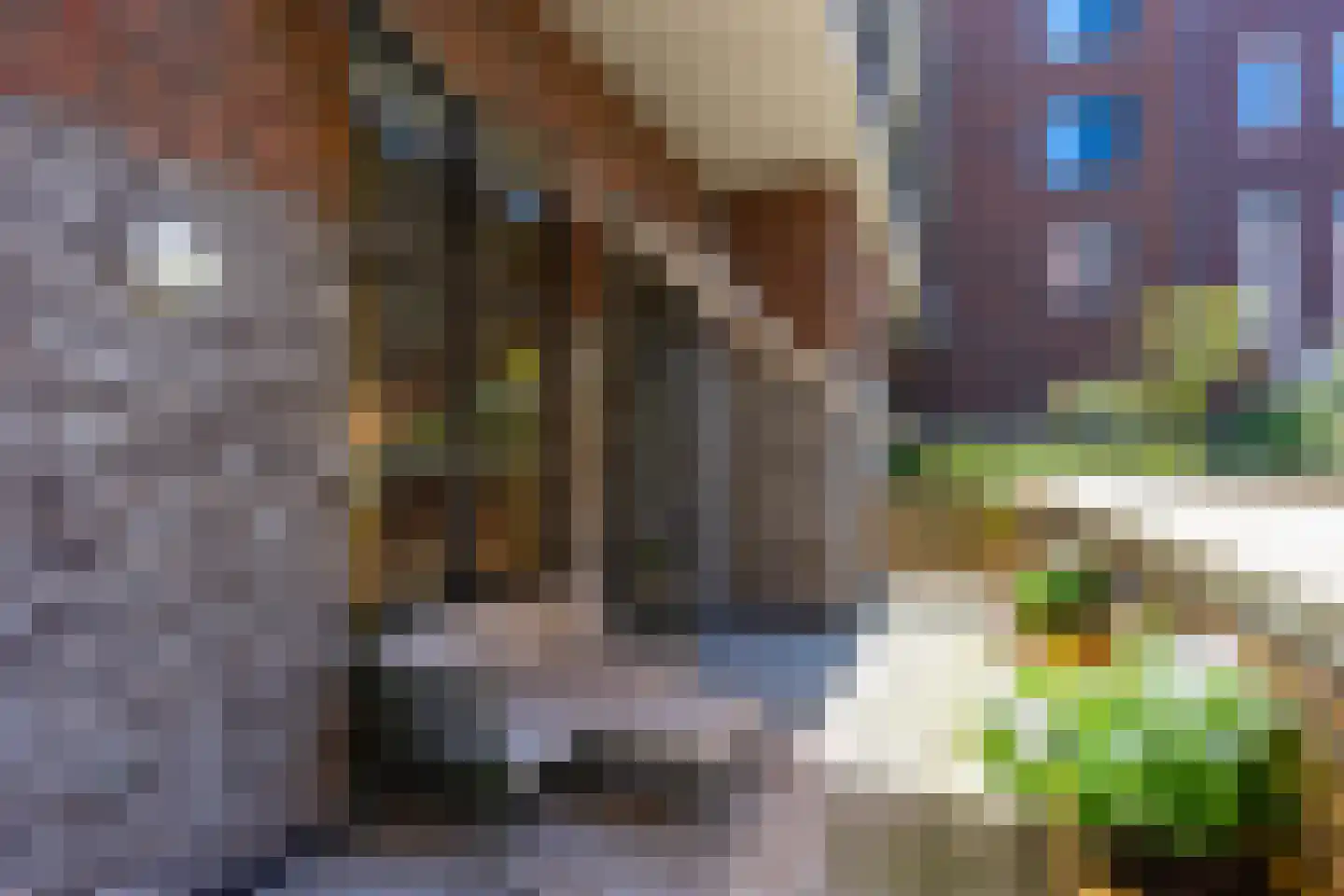Skopjestraat 6 Utrecht thumbnail 36
