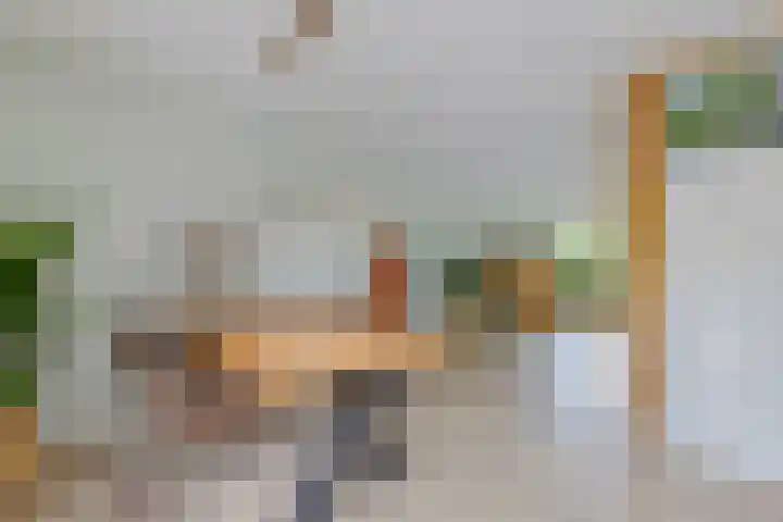 Skou 23 Joure thumbnail 14
