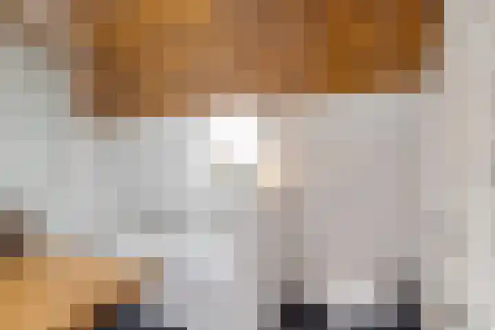 Skou 23 Joure thumbnail 31