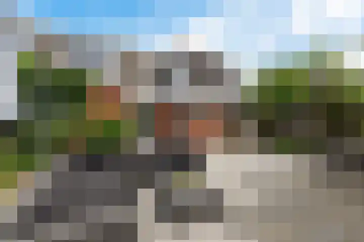 Skou 23 Joure thumbnail 33