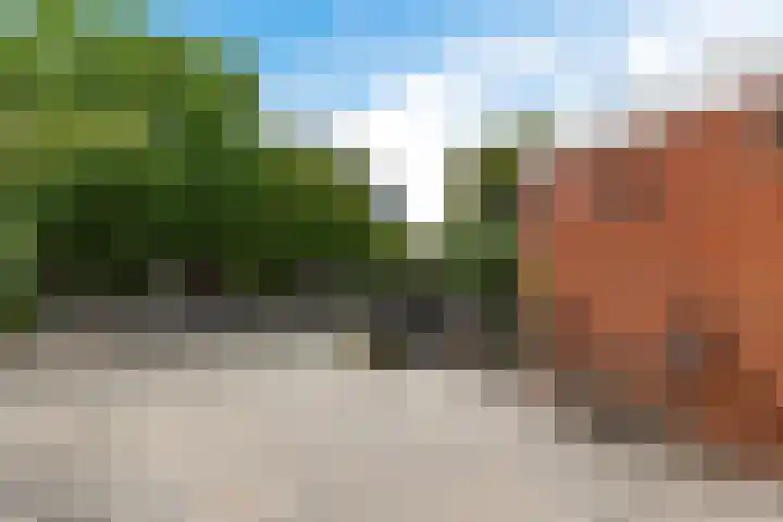 Skou 23 Joure thumbnail 34