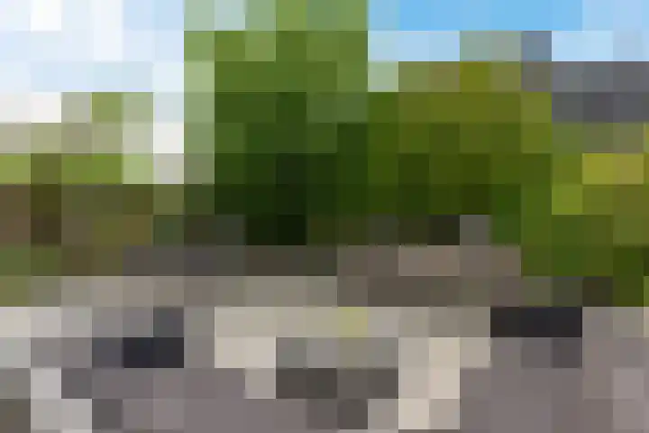 Skou 23 Joure thumbnail 37