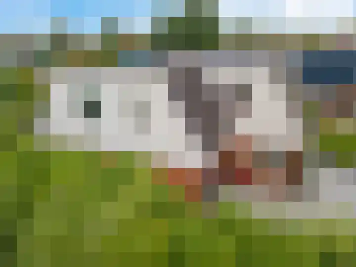 Skou 23 Joure thumbnail 4