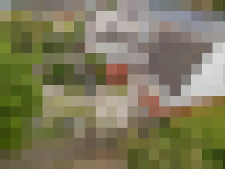 Skou 23 Joure thumbnail 40