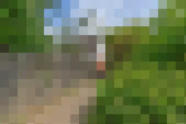 Skou 23 Joure thumbnail 42