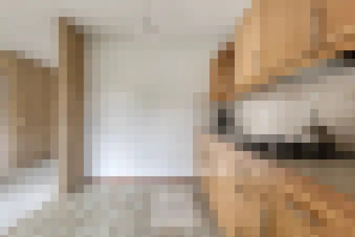Skou 4 Joure thumbnail 10