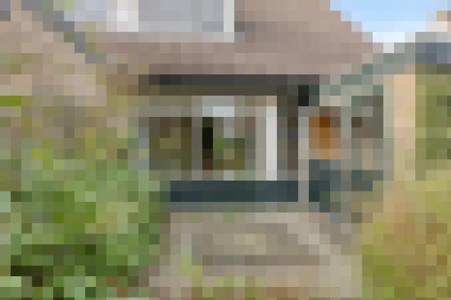 Skou 4 Joure thumbnail 30