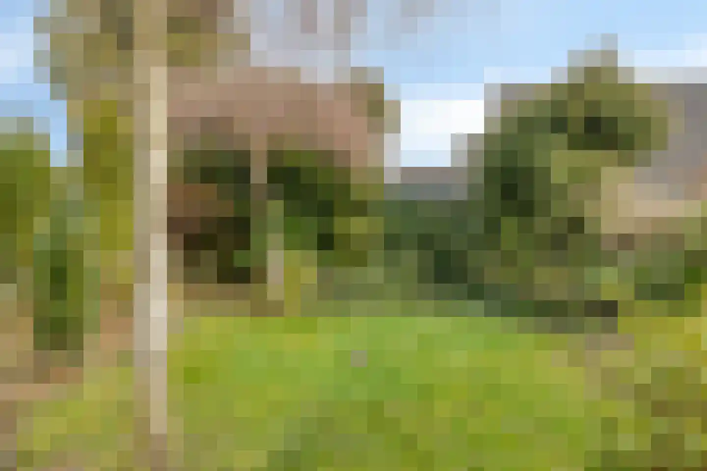 Skou 4 Joure thumbnail 31