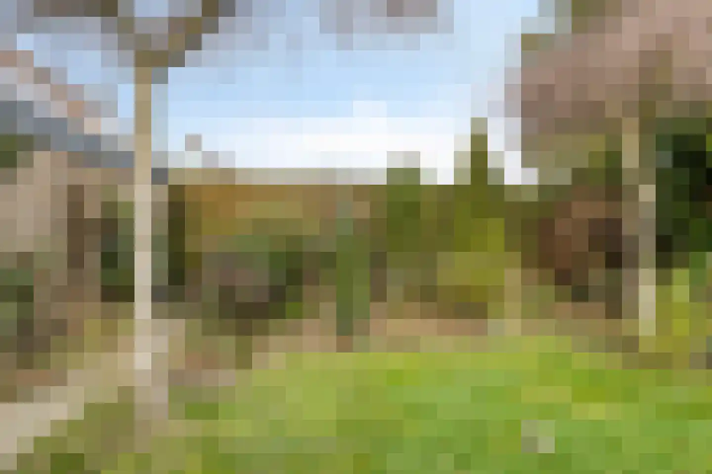 Skou 4 Joure thumbnail 32