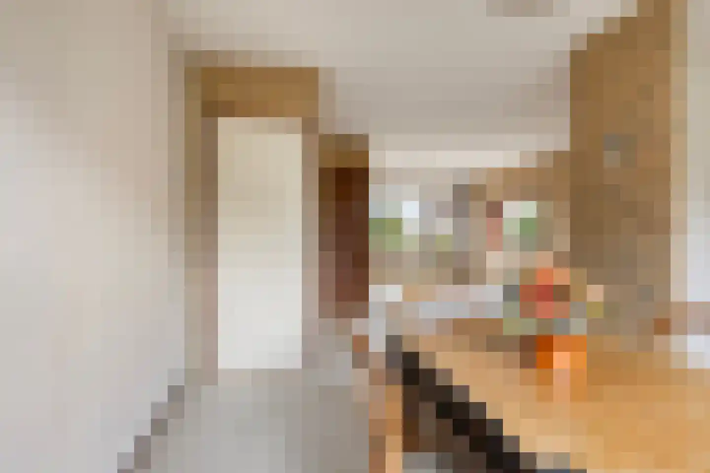 Skou 4 Joure thumbnail 8