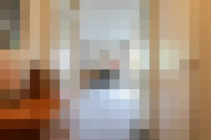Skries 19 D Dronryp thumbnail 16