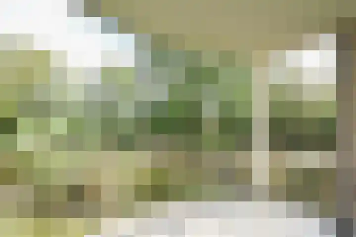 Skries 19 D Dronryp thumbnail 22
