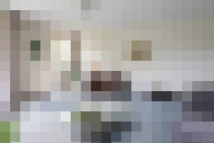 Skries 19 D Dronryp thumbnail 28