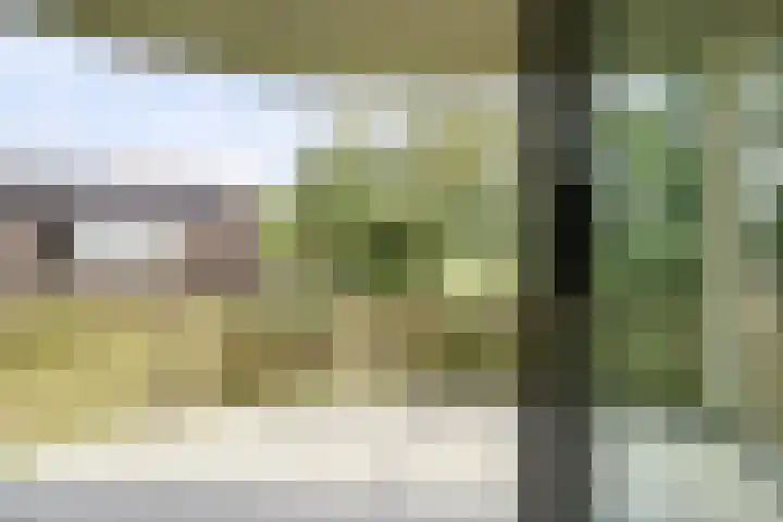 Skries 19 D Dronryp thumbnail 5