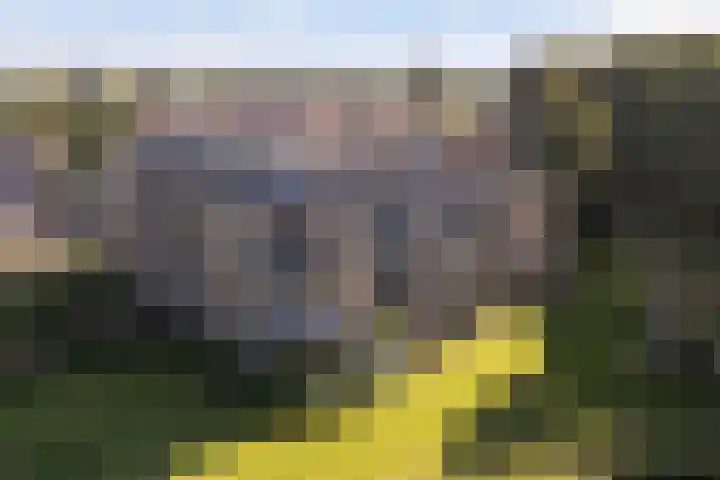 Skries 19 D Dronryp thumbnail 54
