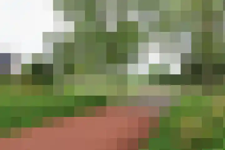 Skries 19 D Dronryp thumbnail 9