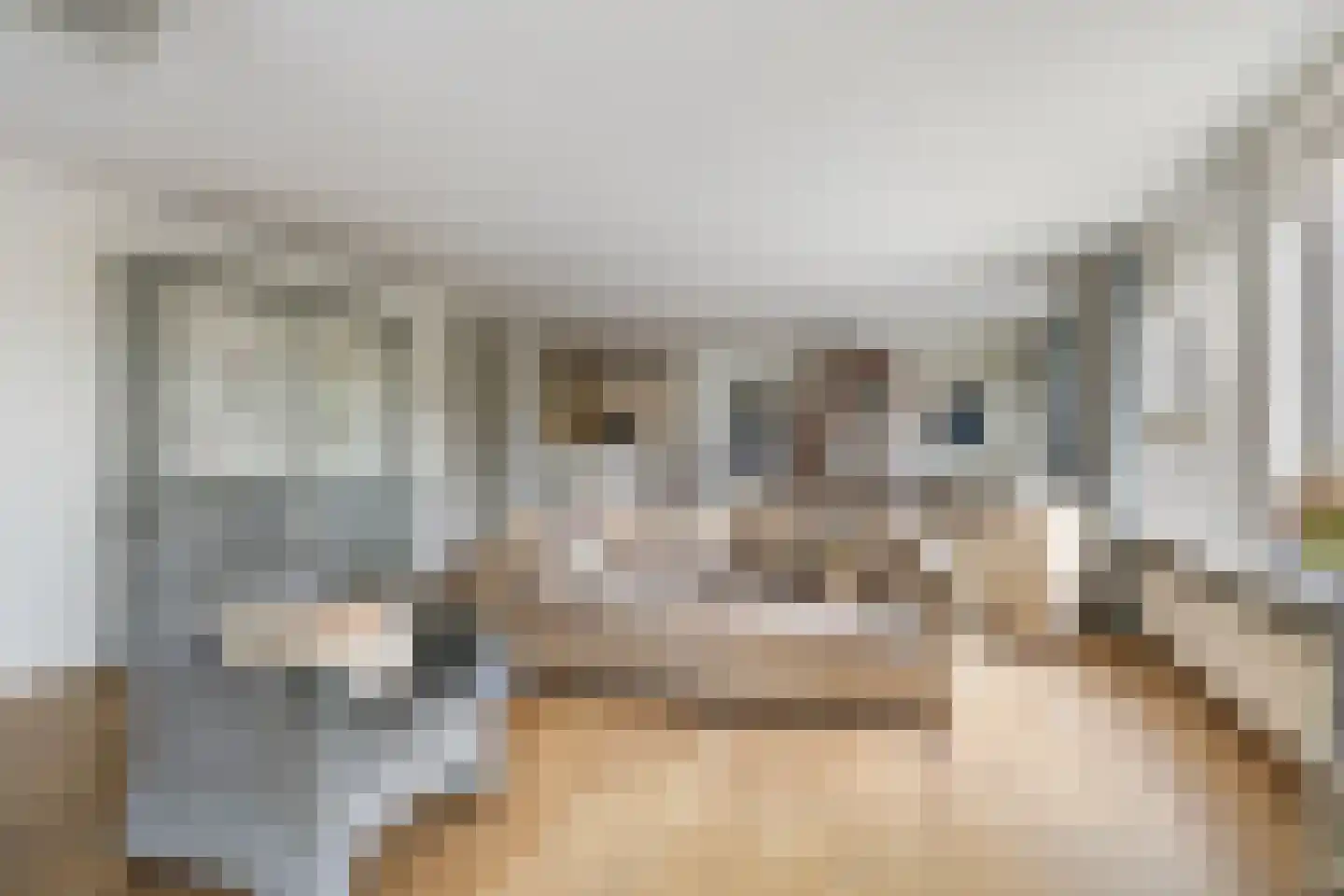 Skries 19 F Dronryp thumbnail 13