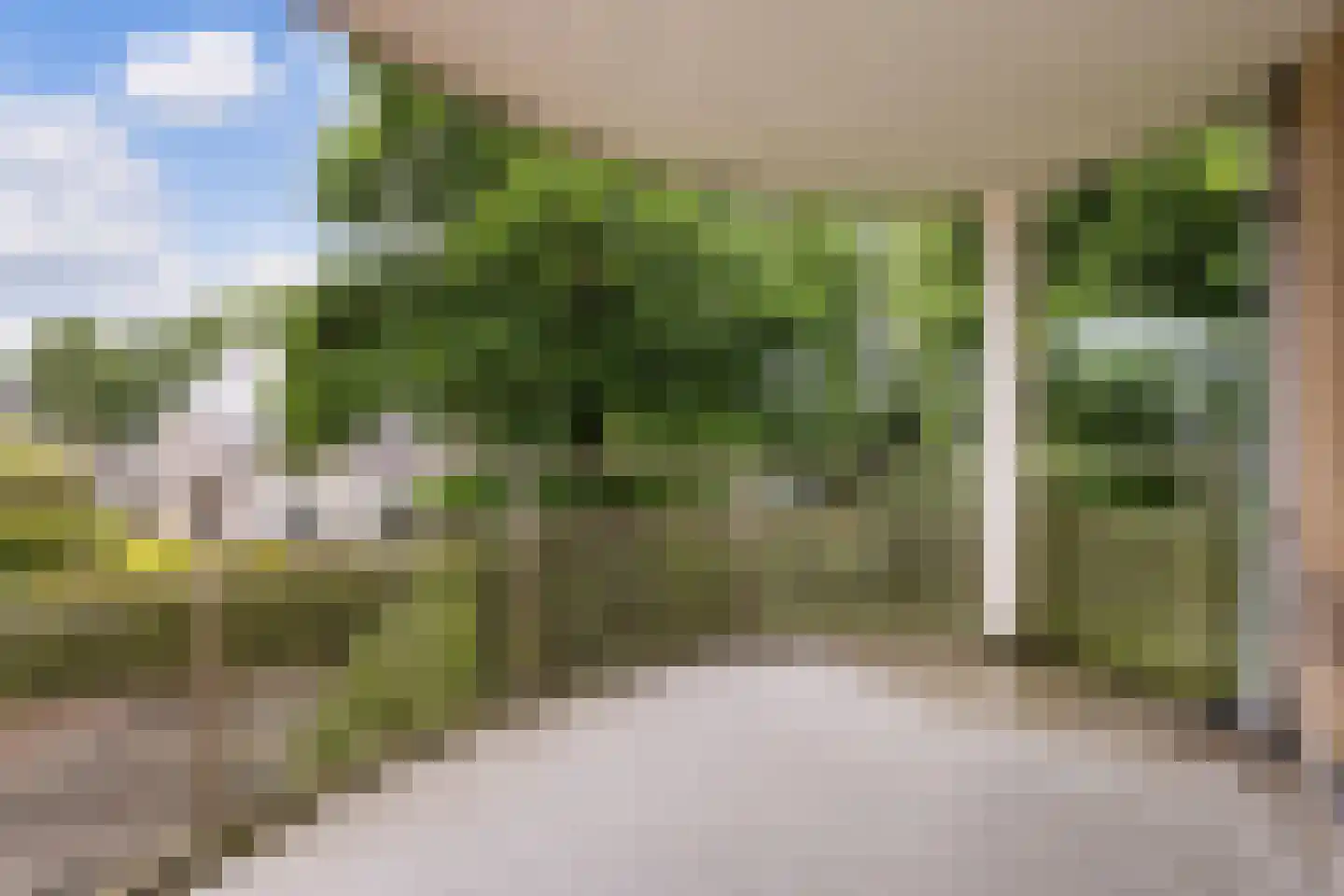 Skries 19 F Dronryp thumbnail 23