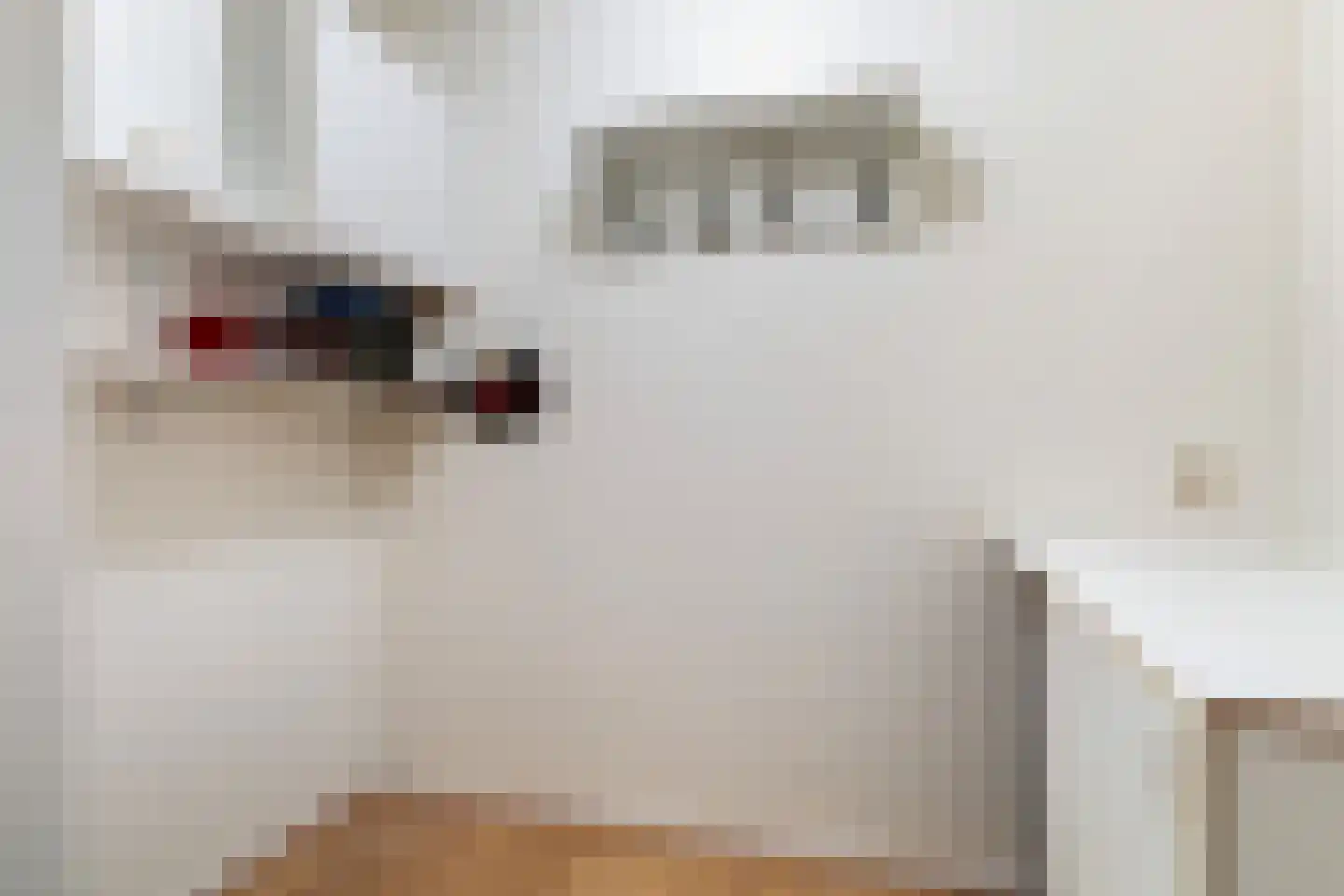 Skries 19 F Dronryp thumbnail 37