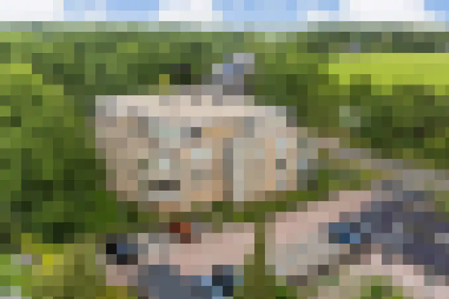 Skries 19 F Dronryp thumbnail 41