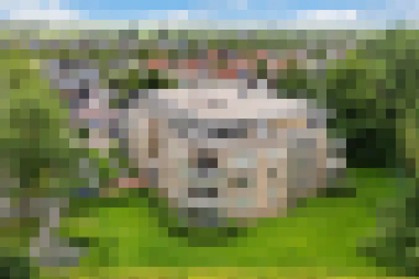 Skries 19 F Dronryp thumbnail 42