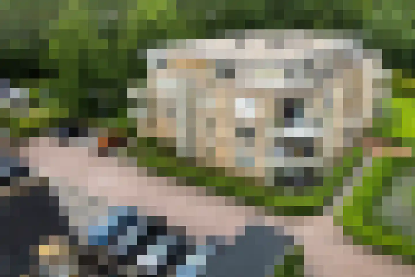 Skries 19 F Dronryp thumbnail 43