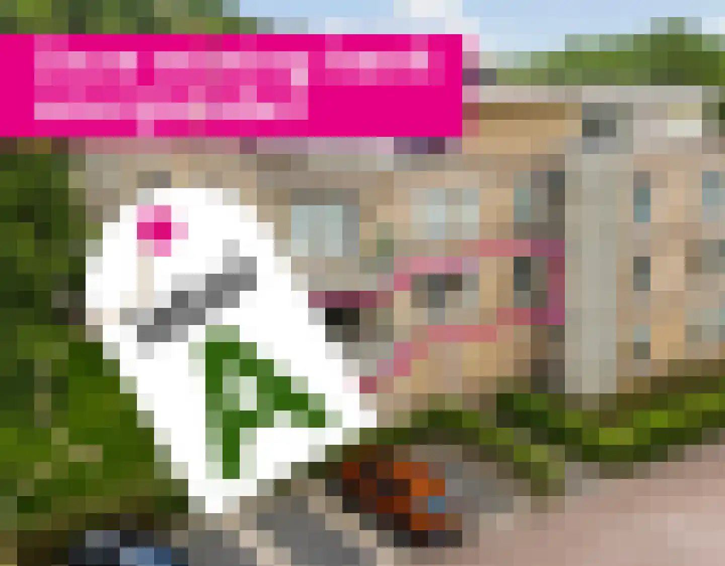 Skries 19 F Dronryp thumbnail 45
