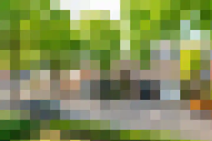 Skries 19 J Dronryp thumbnail 10