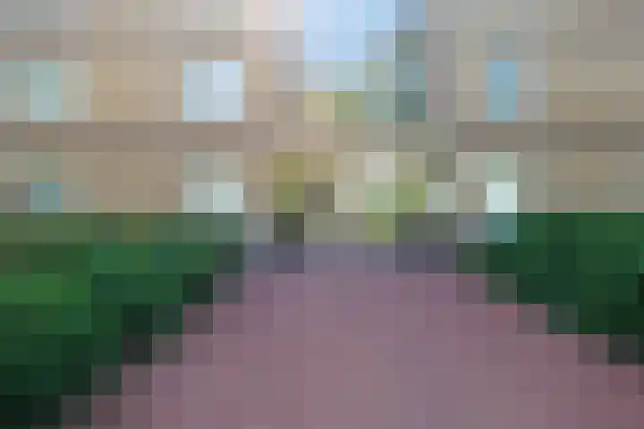 Skries 19 J Dronryp thumbnail 10