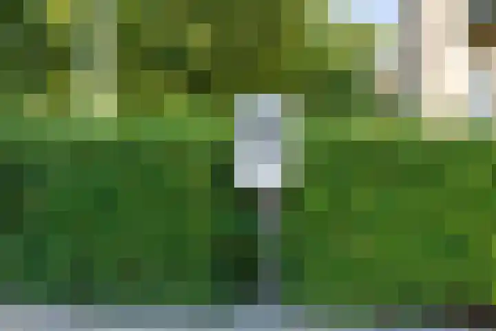 Skries 19 J Dronryp thumbnail 49