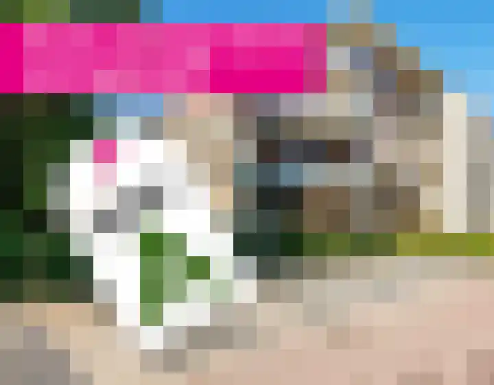 Skries 19 J Dronryp thumbnail 52